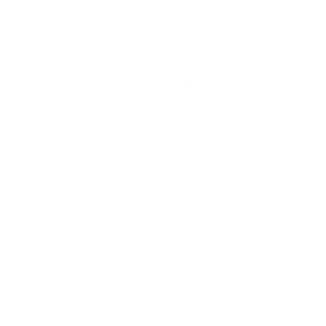 Sæk med optændingspinde, 8 liter